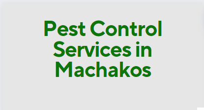 fumigation service cost in Machakos, fumigation cost in Machakos, fumigation prices in Machakos, fumigation price in nairobi, pest control charges in Machakos, pest control cost in Machakos, bees control services in Machakos, bed bugs control services in Machakos, termite control services in Machakos, cockroach control services in Machakos, pest control cost in Machakos fumigation charge in mombasa, bees removal service near me Machakos, bees removal service in Machakos, bees removal service chemical, bees removal chemical, termite control pesticide Machakos, termite control insecticide, best chemical for bed bugs in Machakos, best insecticide for bed bugs in Machakos, pest control services near me, bed bugs control services near me. pest control services in meru,fumigation services in Machakos,pest control Machakos, bed bugs in Machakos, bed bugs in Machakos town, fumigation of bed bugs in Machakos, eliminating bed bugs in Machakos, pest control in Machakos town, we are the solution for fumigation services in Machakos, we cover bed bugs, and snakes, Pest control companies in Machakos, Best pest control services in Machakos, Pest removal services in Machakos, Professional pest control in Machakos, Affordable pest control services in Machakos, Residential pest control in Machakos, Commercial pest control in Machakos, Emergency pest control in Machakos, Rodent control in Machakos, Termite control in Machakos, Bed bug treatment in Machakos, Cockroach control in Machakos, Flea and tick treatment in Machakos, Mosquito control services in Machakos, Integrated pest management in Machakos, Eco-friendly pest control in Machakos, Local pest control services Machakos, Pest inspection services in Machakos, Pest extermination in Machakos, Pest prevention services in Machakos, Ecofumitech pest control services in Nairobi Kenya
